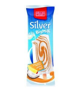 Silver Coconut Ice Cream