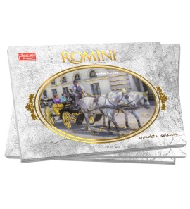 ROMINI CHOC WALLET MIXED NUT  6X240GR