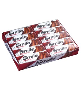 SMILE STICK GUM CINNAMON  12X20X14GR