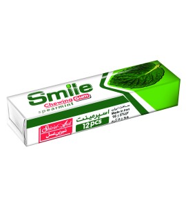 SMILE CHEWING GUM - SPEARMINT 12X20X16.8GR