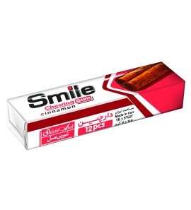 SMILE CHEWING GUM - CINNAMON 12X20X16.8GR